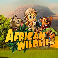 SENJU333 African Wildlife