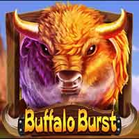 SENJU333 Buffalo Burst