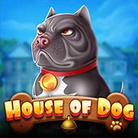 ALEXSIS17 House of Dog