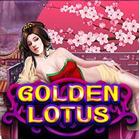 KELASTOTO GOLDEN LOTUS