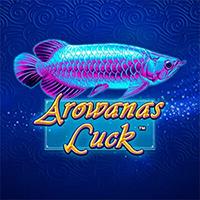 KELASTOTO AROWANAS LUCK