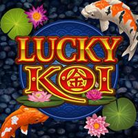 TERMINAL4D Lucky Koi