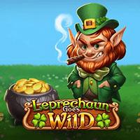 TERMINAL4D Leprechaun Goes Wild