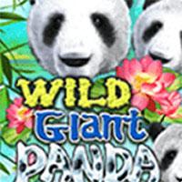 SENJU333 Wild Giant Panda