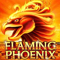 TERMINAL4D Flaming Phoenix