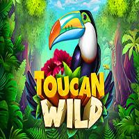 TERMINAL4D Toucan Wild