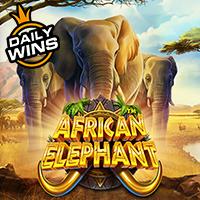 ALEXSIS17 African Elephant