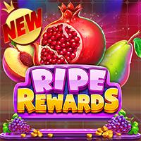 KOPI777 Ripe Rewards