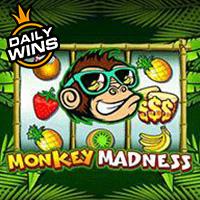 ALEXSIS17 Monkey Madness