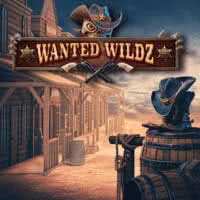 TERMINAL4D Wanted Wildz